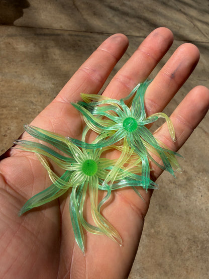 Custom Joro