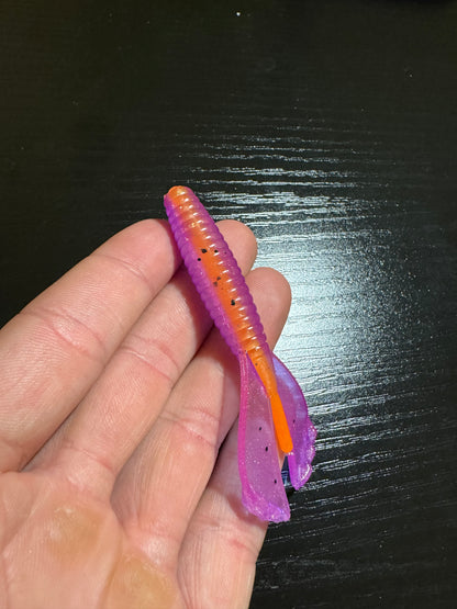 Trick or Treat Grass Grub